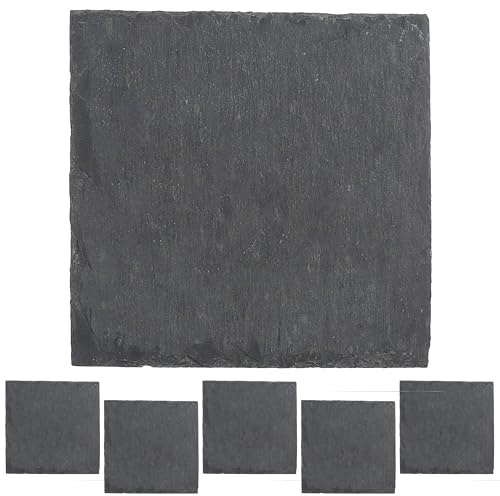 Cepewa Schieferplatte 6er Set | quadratisch 15x15cm Filzschoner | Tischuntersetzer Steinplatte Servierplatte Untersetzer (1 x 6er Set Schieferplatte 15x15cm)