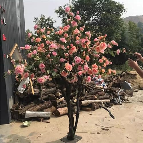 Rosal Artificial Personalizado – Planta Falsa Grande, árbol de Flores de imitación Realista for Sala de Estar Interior, decoración de Boda y Adorno temático de Felicidad(1mx0.8m)