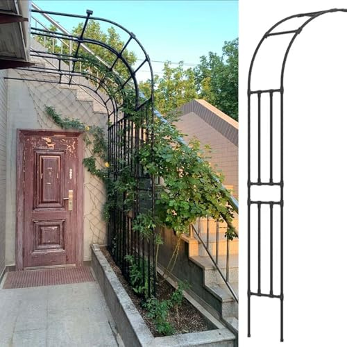 Treillis d'arche de jardin en métal robuste pour terrasse, pergola et rosier, support mural pour plantes grimpantes, vignes et lianes grimpantes (240 x 240 x 40 cm)