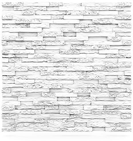 Deccart - 3D Wandpaneele Wall Deko Panel Wand Styropor Wandverkleidung Deckenverkleidung Paneele Decke Deckenplatten Panels EPS-Polystyrol 60x60 cm Stein 0.36 m², 1 Stück, weiß