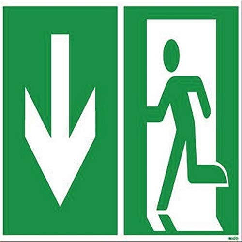 Hinweisschild Notausgang 30x15cm Hart-PVC