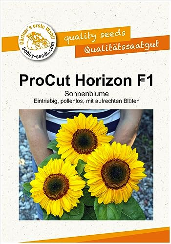 Blumensamen ProCut Horizon F1 Sonnenblume Portion