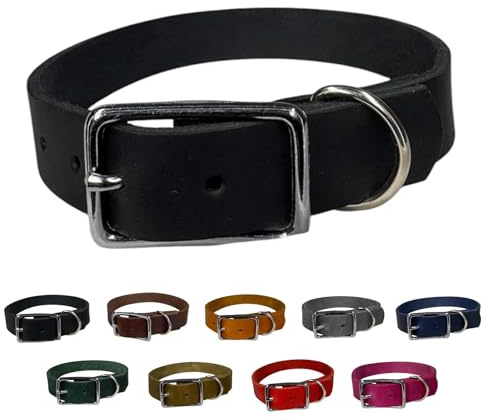 Hunde Halsband Fettleder Silber/XS - XXL für kleine & große Hunde/verstellbar/Flaches Halsband in verschiedenen Breiten (Schwarz, M (41-47cm) Breite: 25mm)