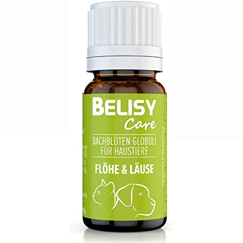 BELISY Läuse & Flöhe Bachblüten Kügelchen für Hunde & Katzen - Bei Läusen & Flöhen - Spezial Bachblütenmischung - alkoholfrei - 10 g
