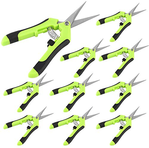 YIXNSW 10 Stück 16,5 cm Professionelle Baumschere, Hand Gartenschere, Ernteschere Blütenschere Pflanz Schere, Blumenschere für Gemüse, Schnittblumen und Zweige, Gerade Klinge