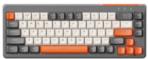 LexonElec X FREEWOLF M68 Tastiera Gaming Wireless 65%, QWERTY, BT/2.4G/Cablata, Tastiera a Membrana Silenziosa, Retroilluminazione Arcobaleno, 67 Tasti con Tasti in PBT, 2000mAh, Portatile - Grigia