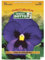 Sicignano | Semi Viola del Pensiero Blu - Pianta Nana Fioritura Prolungata 5-7 cm, Busta Extra - 1 Confezione da 0.15g, Raccolta Primaverile