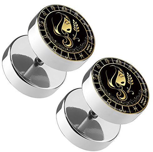 Piercingfaktor 1 Paar Fake Piercing Ohrringe Plug mit Tierkreiszeichen