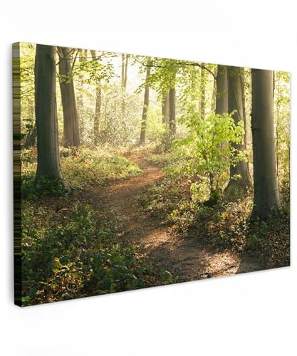 MuchoWow© Bilder Groß XXL Wohnzimmer Deko Modern Wandbild Foto auf Leinwand | 120x80 cm - Bild Schlafzimmer Room Decor Geschenke Wandbilder Wald - Bäume - Weg - Sonne - Pflanzen - Blätter - Natur - Baum