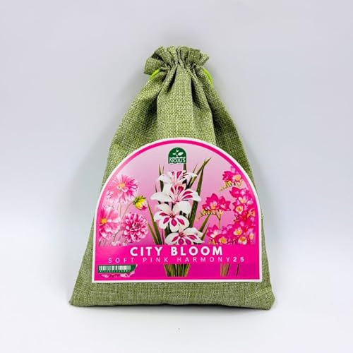 Nojus - City Bloom - Soft Pink Harmony 25 – Blumenzwiebeln & Knollen Mix, Freesien, Dahlien und Mini-Gladiolen, rosafarbene Sommerblumen für Garten, Beet, Balkon, Terrasse und Kübel - 25 STK