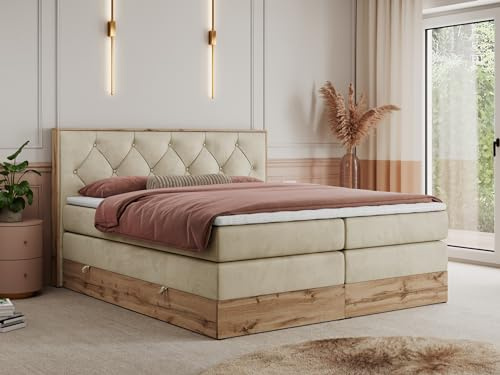 MKS MEBLE King Boxspringbett 180x200 mit Kopfteil und Bettkasten, Polsterbett mit Matratze H3 und Topper T25, Wotan Eiche Dekor - Beige Velvet - Veneto King