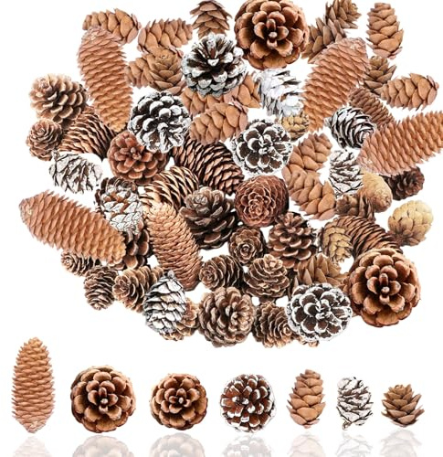 Christmas Pine Cones for Home Party Crafts Gift,60P Natural Pine Cones for Christmas Wreath Making,White PineCones Like a Peak Tower PinesCone Autumn Fall Decor Wedding,Mini / Big Pinecones Xmas Tree