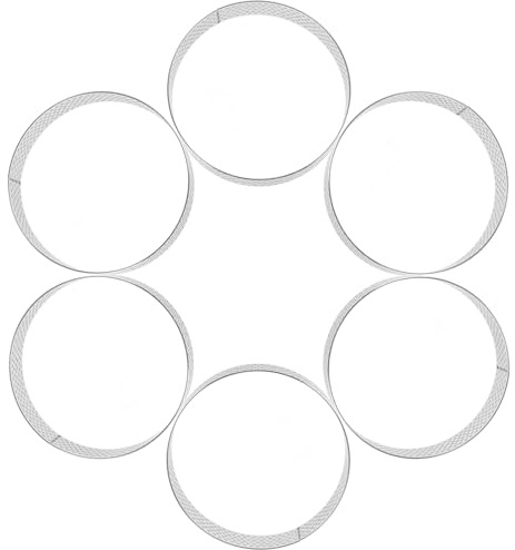 Angoily 6 Anneaux à Tartelettes Ronds en Acier Inoxydable 430 Perforés 8 CM Cercles à Gâteau Métalliques pour Pâtisserie Moules Ronds à Mousse et Anneaux de Cuisson Outil de