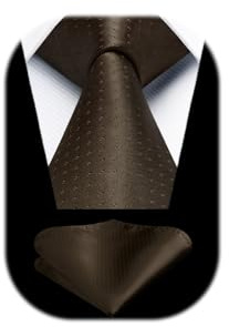 HISDERN Krawatte für Herren mit Einstecktuch Dot Krawatten Hochzeit Klassisch Business Krawatte Gepunktete und Taschentuch Set