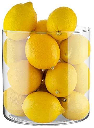 TREND FOR HOME Deko-Glasbehälter 19 cm Zylinder Vase Blumenvase Kerzenständer Stumpenkerzen Kerzenhalter Glasvase Bodenvase Groß Deko Hochzeit Transparent | Ø 19 cm | 4848 ml | Naida