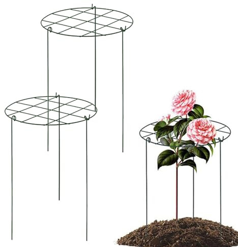 Pyliccio für Kletterpflanzen im Freien | 3 Stücke Stabiler Eisenbaum, multifunktionaler Gartenvorräte für die Ausbreitung von Pflanzen in erhöhtem Gemüse -Topf