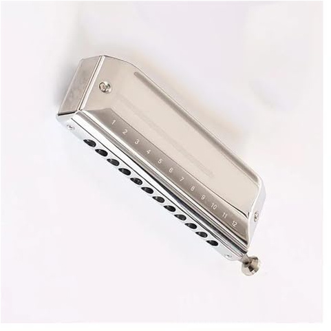 Chromatische Titan-Kammharmonika, 12-Loch-Harfeninstrument für Anfänger Mundharmonika-Set (Color : D)