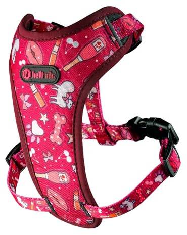 Helltails Anti Zug Hundegeschirr für Mittelgroße Hunde Gepolstert | NO Absorb | Atmungsaktiv Geschirr Hund Reflektierend | Brustgeschirr Einstellbar und Verstellbar | Dog Harness | Champagne Kiss - M