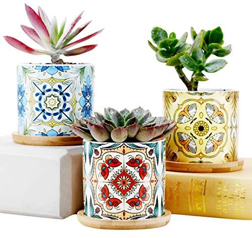 SUN-E Suculenta Planta Macetas Cactus Maceta Mini Planta de cerámica Decorativa de Flores de Interior Jardinera Idea de Regalo Mariposa - Libélula - Polilla Serie Decoraciones para el Hogar Oficina