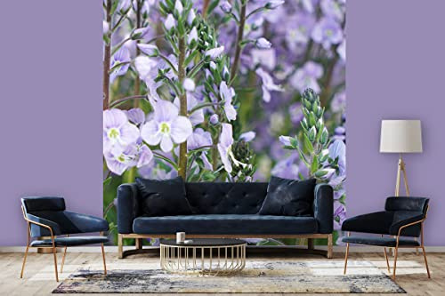 Glücksvilla - Papier peint photo, autocollant, 240 x 250 cm (l x h) - diff. tailles - Papier peint non tissé - Décoration murale moderne - Prix honorable gentiane ciel de mai - Bleu gentiane violet