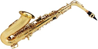 Goldlackiertes Professionelles Altsaxophon Altsaxophon In Es Gold Finish Einzel Und Doppelrippen Für Anfänger