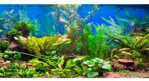 AWERT Aquarium-Hintergrund, 91,4 x 45,7 cm, Wasserpflanze, Flussbett und See, Aquarium-Hintergrund, Vinyl, 90 x 45 cm