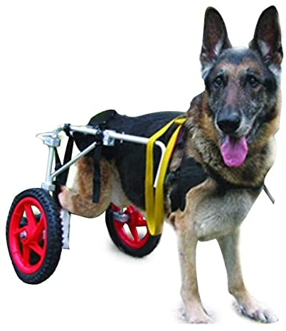 KROITY Hund Rollstuhl Zwei Räder Haustier Rollstuhl Verstellbarer Gehhilfe Hundegehilfe Der Hinteren Extremitäten Geeignet für Große Hunde Hinterbeine Rehabilitation L