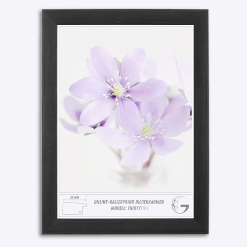 Online-GalleryKing OGK Thirtyfive Bilderrahmen 29x36 cm Kiefer Schwarz mit MDF Holzrahmen vollummantelt, entspiegeltes Anti-Reflex Kunstglas und HDF Rückwand - Fotorahmen für Hoch- und Querformat