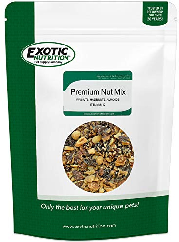 Exotic Nutrition Premium Nut Mix - Unroasted, Unsalted Walnuts, Hazelnuts, Almonds - Food & Treat for Squirrels, Parrots & Other Small Pets (5 lb.)