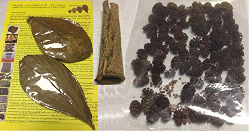 Catappa-Leaves TopSellerSet Wasseraufbereitung für gesunde Fische + Garnelen (20 Seemandelbaumblätter, 50gr Erlenzapfen, Rindenröhre)