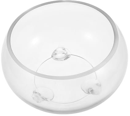 BESPORTBLE Unique Design Glass Terrarium Bowl Hydroponic Plant and Betta Fish Tank Elegant Home Decor