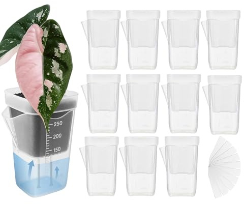 Generisch Selbstbewässernder Blumentopf - 6 cm klare Töpfe mit Etiketten | Pflanzentöpfe Mit Bewässerungssystem Und Ablauflöchern | Für Zuhause Innen Außen Garten Balkon Alocasia Knollen