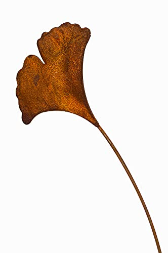 Blümelhuber Ginkgo Blatt Rost Deko für Garten, Terrasse oder Balkon - Metall Edelrost Gartenstecker Ginko Baum Blatt Skulptur Deko