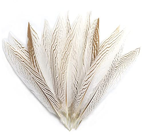 Fasan Federn 10Stück 10-15cm Natur Dekoration fasan Federn Fasanenfedern Natural Pheasant Feathers Schwanzfedern Tails Feather Länge Natur Fasan Schwanzfedern für Kostüme, Hüte, Zuhause Dekor