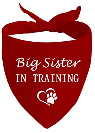 Hundehalstuch, Motiv: Big Sister/Brother in Training, Schwangerschaftsankündigung, Geschenk (große Schwester D), 1 Stück