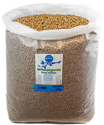 starmerbaits Wheatgerm floating winter koi feed pond pellets with spirulina (adult) 10kg
