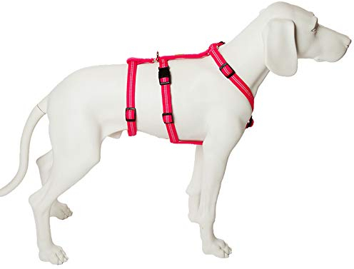 Feltmann NoExit Hundegeschirr ® - 100% ausbruchsicher für Angsthunde, Sicherheitsgeschirr für Pflegehunde, Panikgeschirr, reflektierend, Super Soft, pink, Bauchumfang 60-80 cm, 25 mm Bandbreite