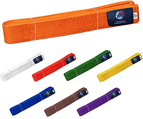 Karate Belt Multiple Colors Martial Arts Taekwondo Sports Belt Judo Karate Belt (280cm, Orange (Pack of 1))