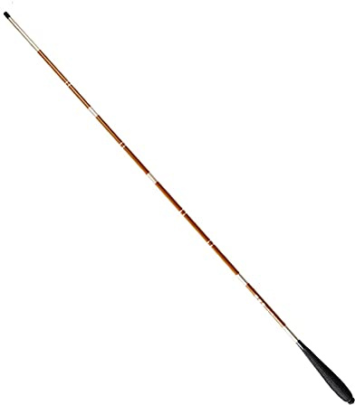 AYKANING Fishing Stipprute,Teleskop Angelrute Angelrute Carbon Angelrute Ultralight Teleskop Angelrute Imitieren Karpfenfischen(5.4m no Accessory)