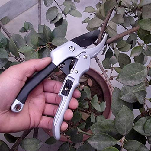 n Shears P ning Tools 20Cm Ratchet Plant Trim Horticulture Hand Shear Orchard Pruning Pruner Cut Secateur Shrub n Scissor Tool Anvil Branch,ning Knive