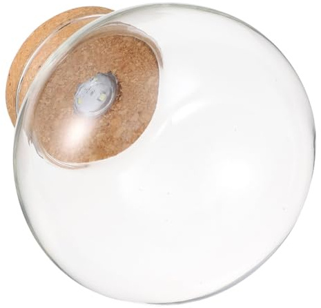 Toddmomy Glasvase Mit Korkdeckel Für Hydroponik-Pflanzen Terrariumflasche Als Tischdeko Runde Pflanzengefäß Aus Glas Für Kleine Zimmerpflanzen