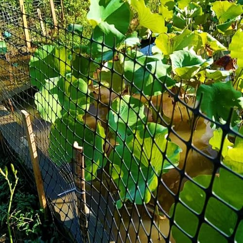 SSDDLZEQ Garden Building Plastic Fence Fence Mesh Black Plastic Wire Fence Mesh Reusable Outdoor Temporary Fence 2.3mm Thick(1.2x50m/3.94x164ft)