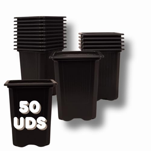 GROWMANIA Pack 50 Macetas Negras Cuadradas para Plantas 8 x 7 x 7 cm - 50 Maceteros de Plástico para Flores 8 x 7 x 7 cm - Ideal Exterior e Interior Flores, Esquejes y Semillas