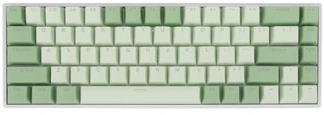 Bewinner Mechanische RGB-Gaming-Tastatur – 68 Tasten, 60% Mechanische Tastatur, Matcha-Design-Rotschalter, RGB-hintergrundbeleuchtete USB-kabelgebundene Tastatur für 2000 ME 7 8 10 für
