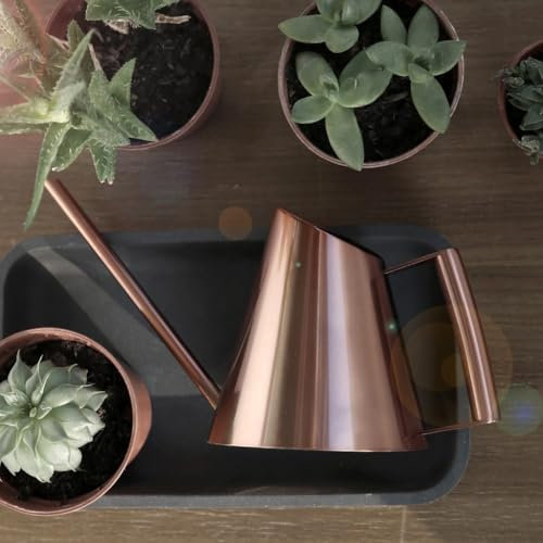 Annaffiatoio a becco lungo in acciaio inox, annaffiatoio per fiori, per piante da appartamento, bonsai, giardino esterno (rame 900 ml)
