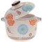 BESTonZON Ceramic Instant Noodle Bowl, Stew Bowl with Handles and Lid, Japanese Porcelain Ramen Bowl Set, Baking Tureen Cereal Ramen Pasta (450ML)