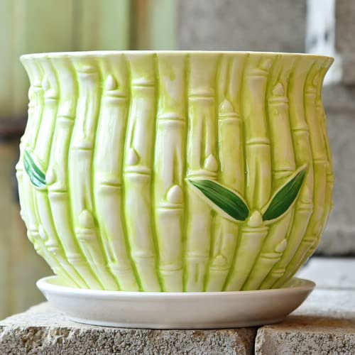 XIALON Pot de fleurs en céramique 10 cm pour intérieur - Chlorophytum Comosum - Personnalité créative