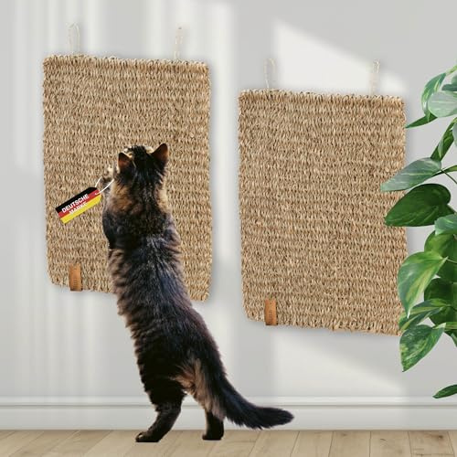 Rohrschneider Kratzmatte rund, Seegras, 40 x 30 x 1 cm 2er Set