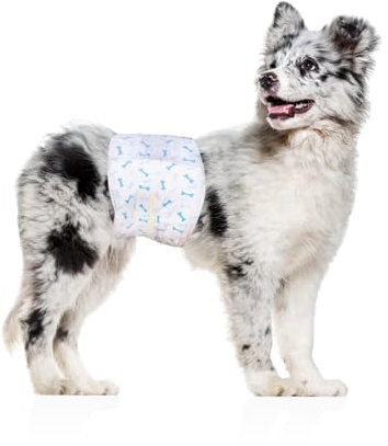Flying Paws M Hundewindeln (46-63cm) 10 er Reiseset, Einweg-Windeln für Rüden Auslaufsichere Hundewindeln mit Feuchtigkeitsindikator