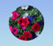 250 graines petunia nain compact colorés -mixtes - fleurs pour massifs, bordure -